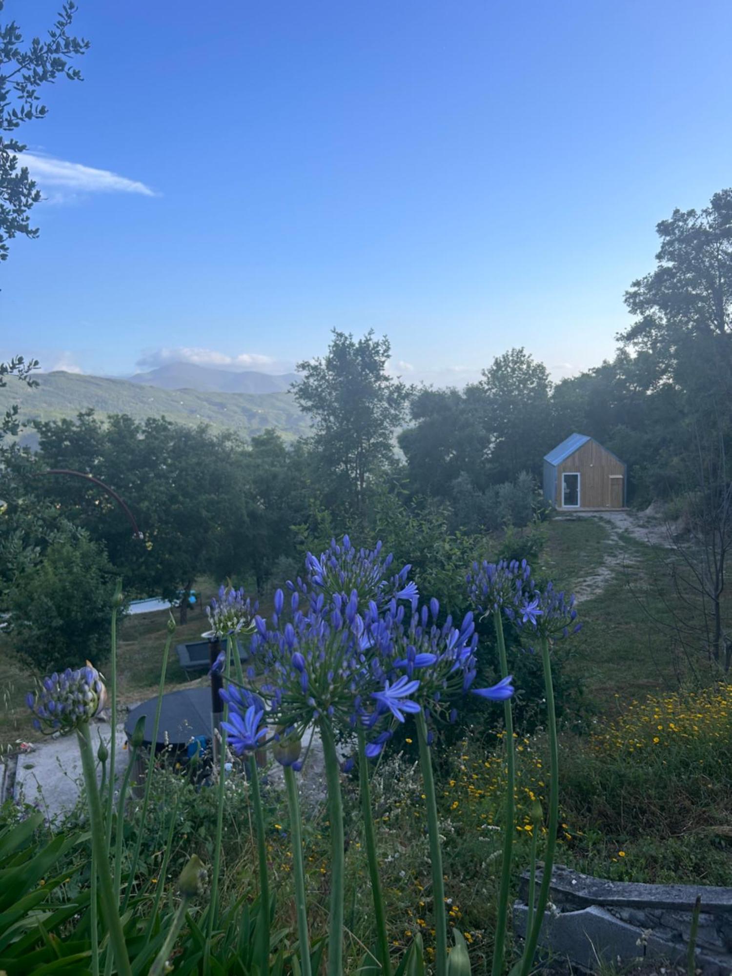 FolhadosaMonkey Tiny Barnhouse With Amazing Views!别墅 外观 照片