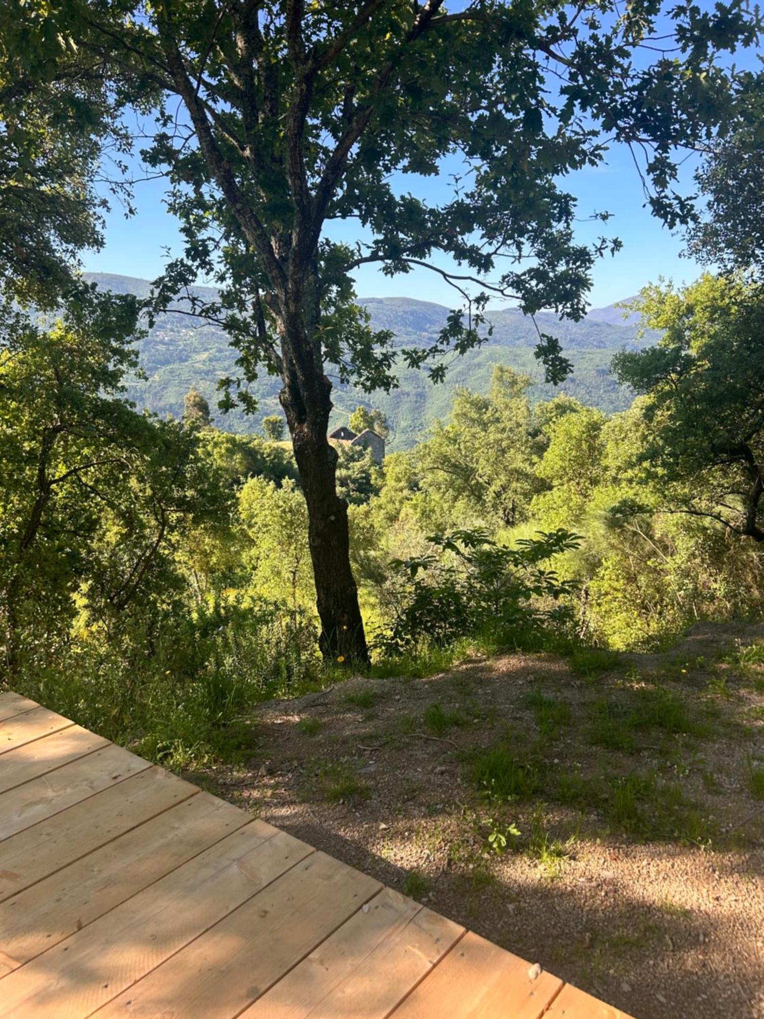 FolhadosaMonkey Tiny Barnhouse With Amazing Views!别墅 外观 照片