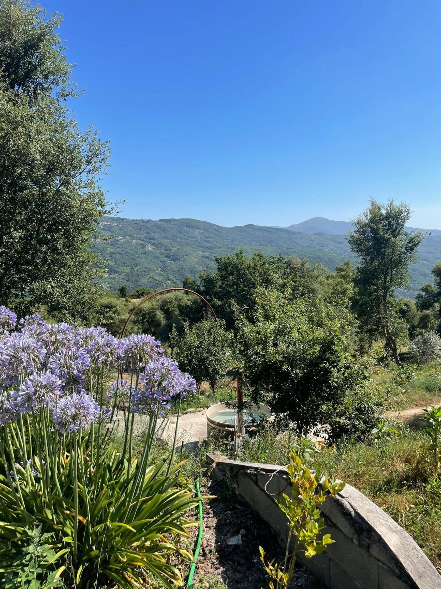 FolhadosaMonkey Tiny Barnhouse With Amazing Views!别墅 外观 照片
