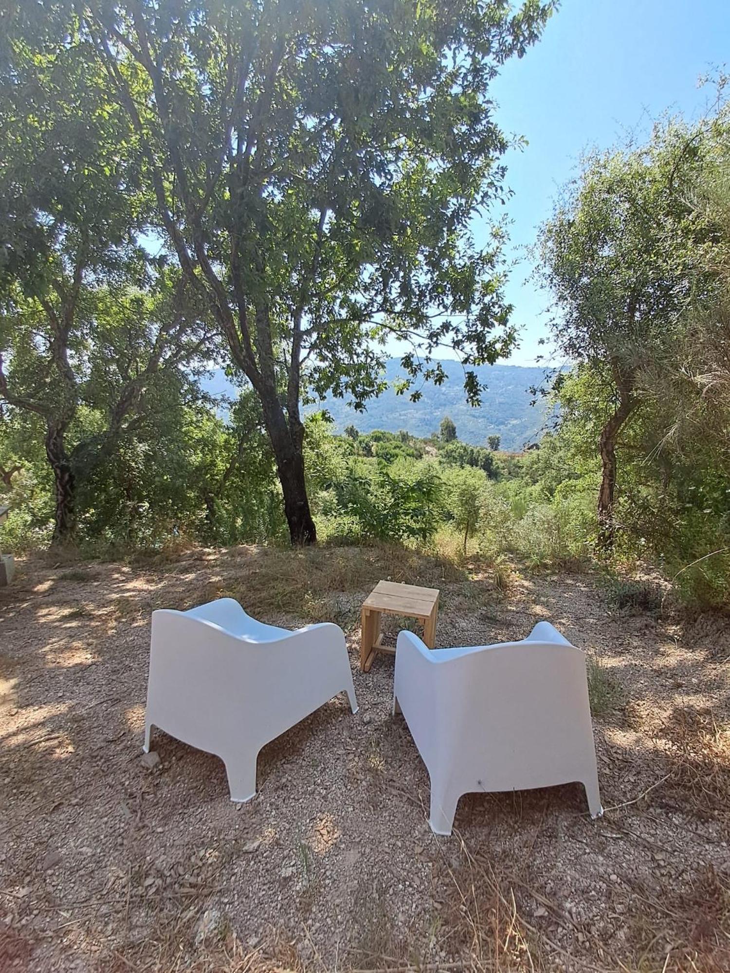 FolhadosaMonkey Tiny Barnhouse With Amazing Views!别墅 外观 照片