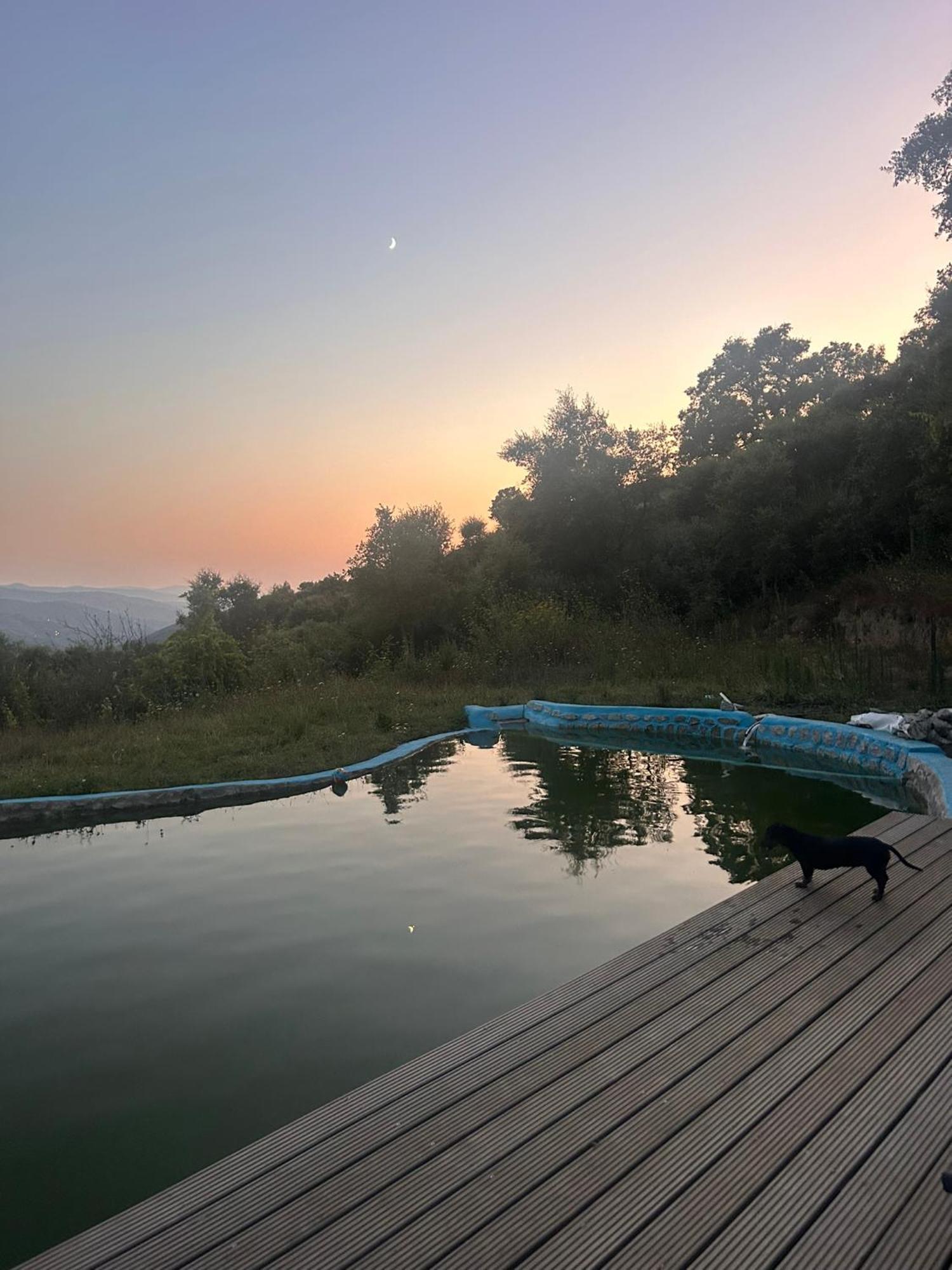 FolhadosaMonkey Tiny Barnhouse With Amazing Views!别墅 外观 照片