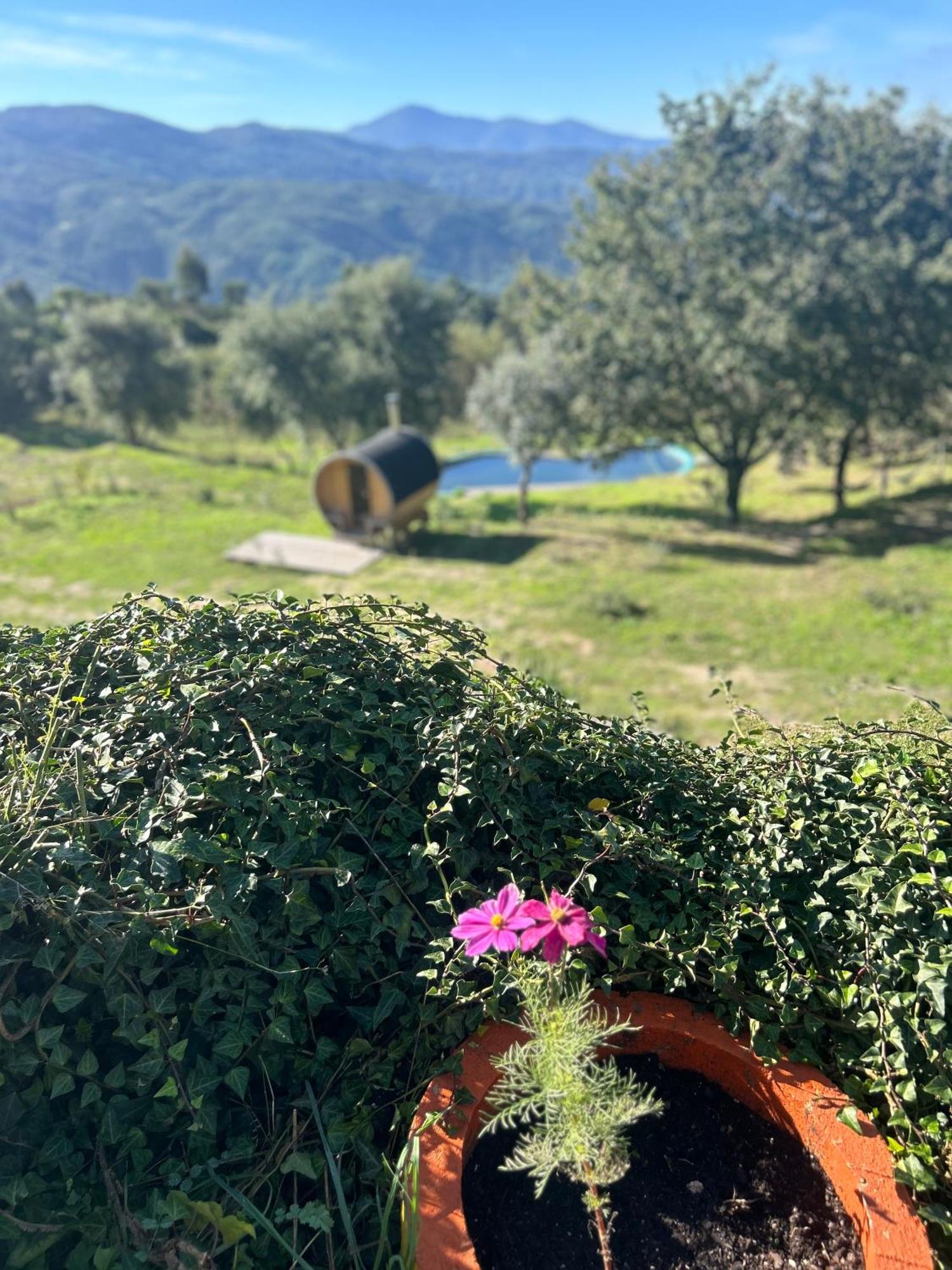 FolhadosaMonkey Tiny Barnhouse With Amazing Views!别墅 外观 照片